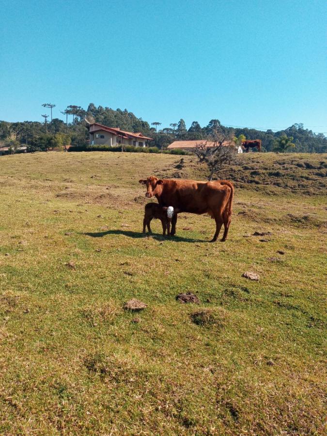 Pousada Landhaus Urubici Luaran gambar